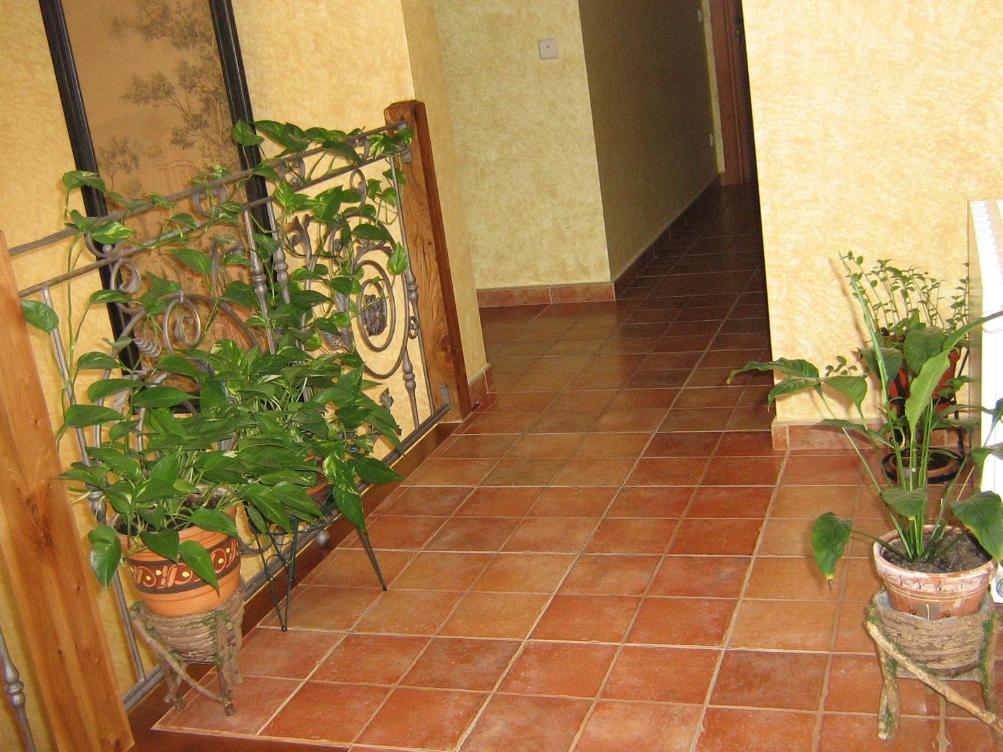 Hotel Rural El Museo Cedillo de la Torre Exteriér fotografie
